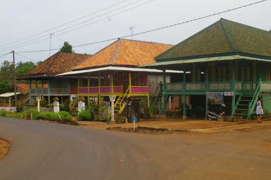 desa tradisional wana