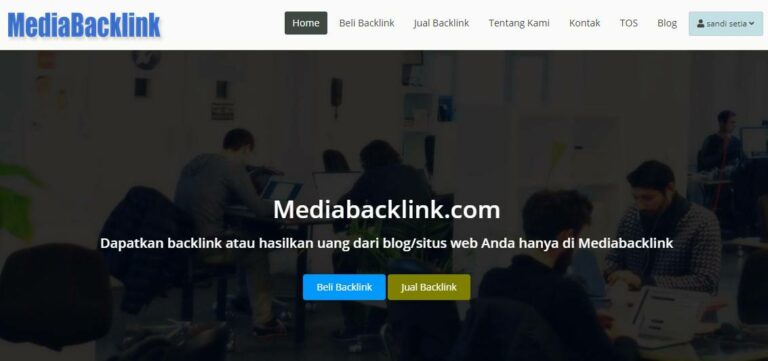 review layanan mediabacklink