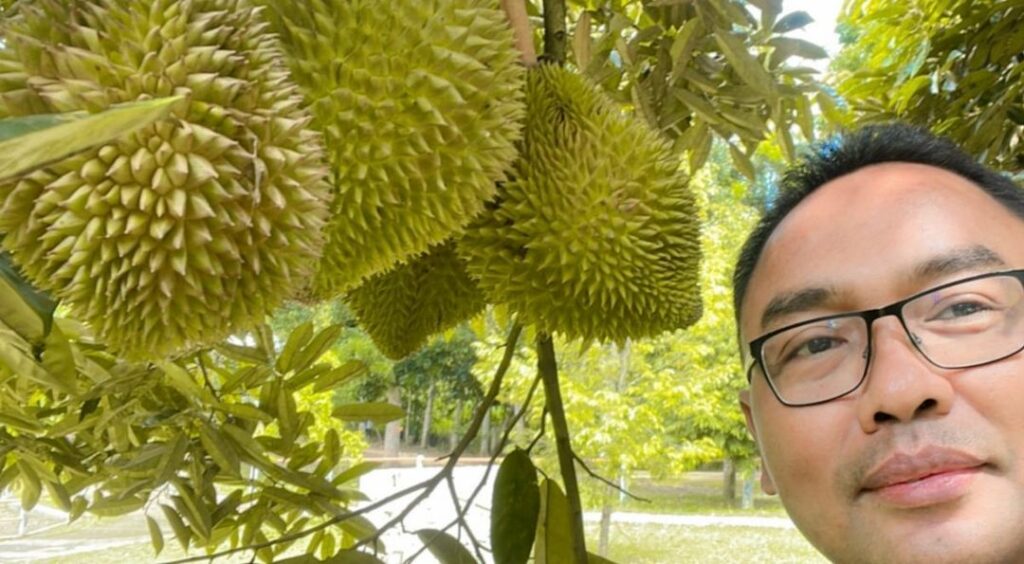 makan durian di lembah durian farm